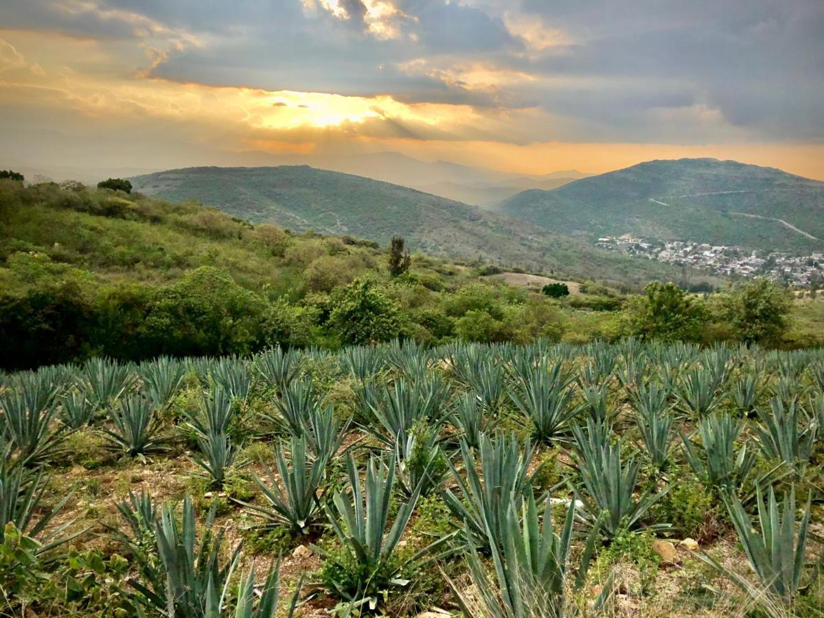 Beautiful Apartment In Oaxaca City'S Best Location Ngoại thất bức ảnh